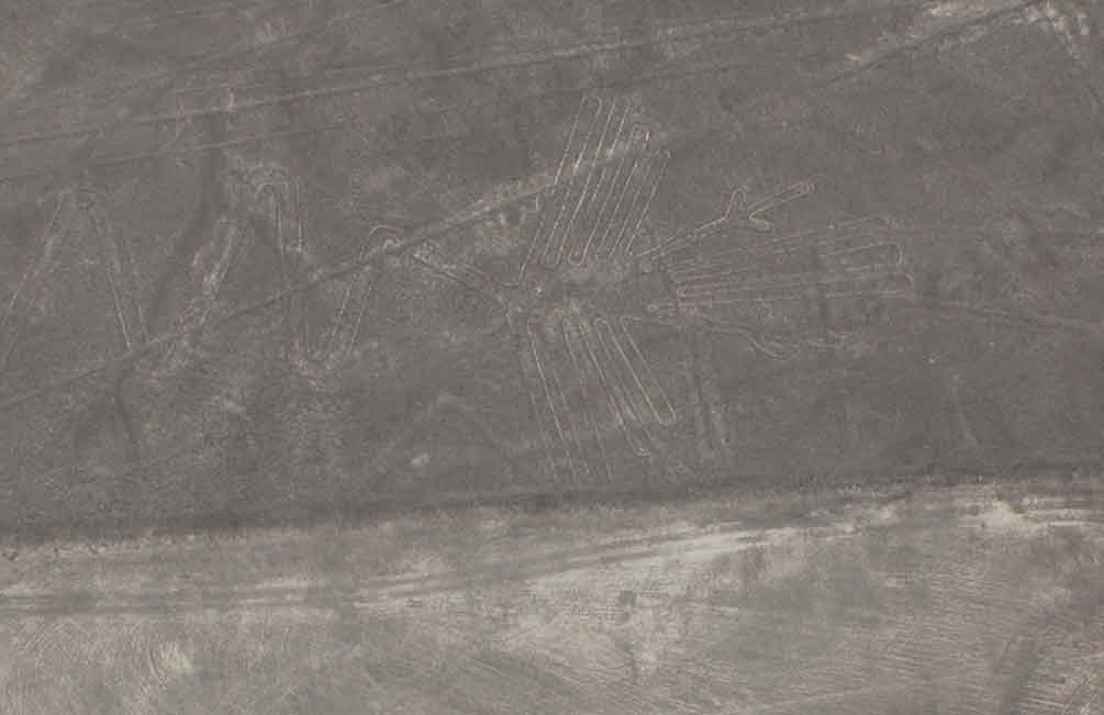 52 - Peru - Nazca, lineas, la garza